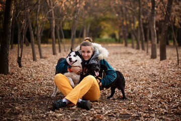 Naklejka na ściany i meble Very smiling European young woman in the yellow pants sitting on the ground in the autumn park and hugs two dogs
