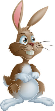 Bunny rabbit cartoon character illustration