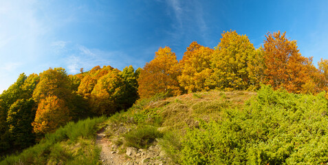 Autumn in the Pyrenees