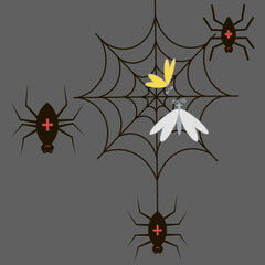 Black spider and scary spiderweb of Halloween symbol on a gray background