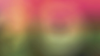 Abstract Okra Flower Background gradient black white green pink Use computer filters and gradients for beautiful designs. romantic love screen wallpaper computer monitor background design beautiful wo