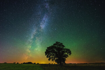 Night landscape with colorful Milky Way and an Oak tree