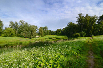 Beautiful summer nature landscape with a river and old bridge, a green flowering meadow and wildflowers. Pavlovsky park valley of Slavyanka River