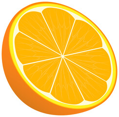 Fototapeta na wymiar Halved orange. Fruit design element.