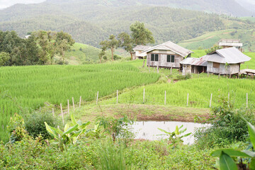 house on the river