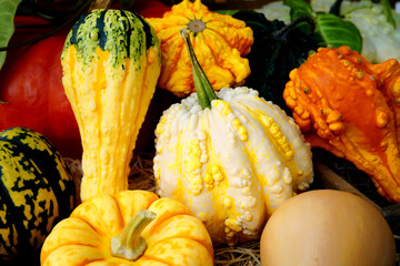 Decorative pumpkins of different varieties on a wooden table. 