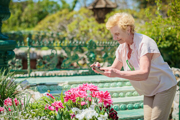 Elderly enthusiastic woman photographing beautiful tulips flowers on the phone in the park.