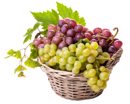 Bunches of white and pink grapes in a wicker basket