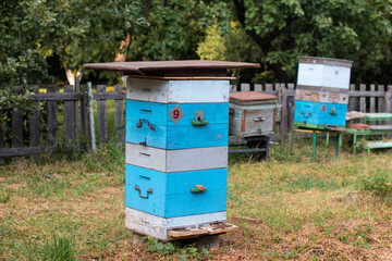 village apiary, honey production. Beehive
