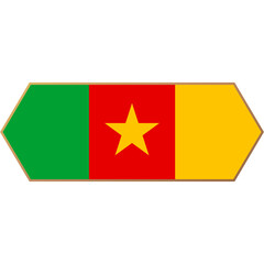 Cameroon flag world football 2022