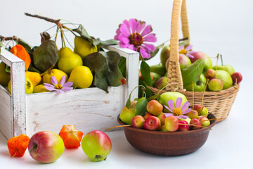 The harvest of apples in the basket. Flower honey, apple spas