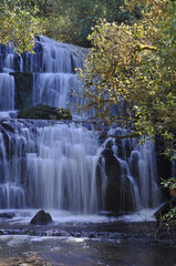 Purakaunui Falls Neuseeland