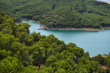 Fototapeta na wymiar Spectacular vegetation of great foliage in a blue lake. Panoramic views. Copy space for text on natural green background.