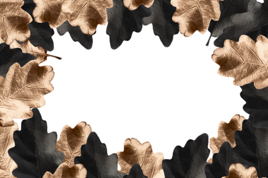 black and gold hand painted oak leaves border frame on a white isolated background with copy space