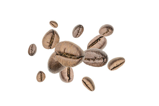 Coffee beans falling background. Black espresso coffee bean flying. Aromatic grain fall isolated on white. Represent breakfast for energy and freshness concept.
