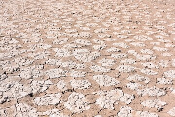 Tierra seca, cuarteada, debido a la sequía, producido por el cambio climático