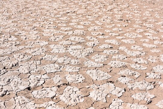 Tierra seca, cuarteada, debido a la sequ&iacute;a, producido por el cambio clim&aacute;tico
