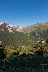 green valley in the spanish pyrenees