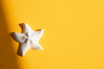A plaster figure of a starfish on a colored background