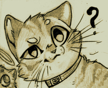 Cartoon style illustration of a cat with a question mark