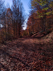 plateau and mountain