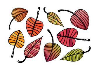 Linear pattern leaves with bright colors. Red, orange, green, yellow, red, pink. Leaves set, collection.