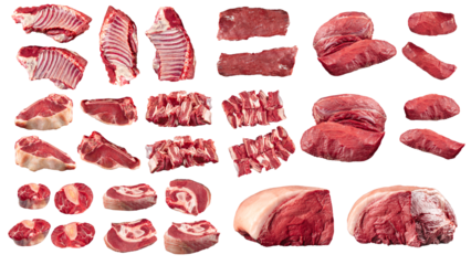 Collage of isolated raw beef meat pieces