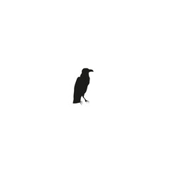silhouette of a crow, Silhouette of a crow sitting on a white background
