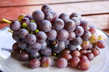 grape fruit on the terrace in autumn