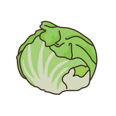 野菜のイラスト　農産物　食べ物　食材　レタス