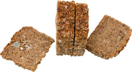 Weißer Schimmel auf ein Vollkornbrot als Freisteller png auf Transparenten Hintergrund freigestellt 