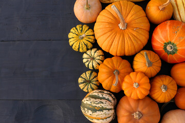 Autumn orange pumpkins and squashes on black wooden background.