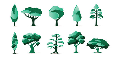 Vector designer elements set collection of green jungle ferns, tropical eucalyptus art natural leaf herbal leaves in vector style. Decorative beauty elegant illustration for design