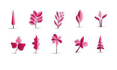 Vector designer elements set collection of green forest ferns, tropical green eucalyptus green art natural leaf herbal leaves in vector style. Decorative beauty elegant illustration for design