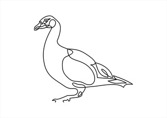  Duck-continuous line drawing icon. Editable line