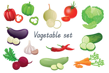 Vegetable 3d realistic set. Bundle of pepper, onion, tomato, cabbage, eggplant, beetroot, garlic, zucchini, chili, cucumber, carrot and other vegetarian nutrition isolated elements.Vector illustration