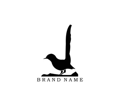 simple outline bird logo vector