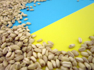     Wheat grain on yellow and blue flag of Ukraine, Ukrainian grain crisis, concept of global hunger crisis due to war         