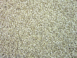 buckwheat groats background