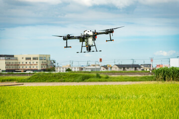 ドローンの使って田んぼに農薬を散布している