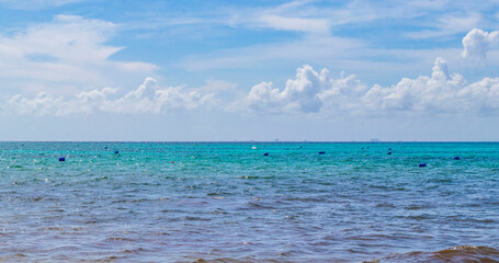 Tropical mexican beach clear turquoise water Playa del Carmen Mexico.