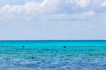 Fototapeta premium Tropical mexican beach clear turquoise water Playa del Carmen Mexico.