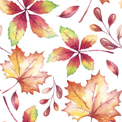 Fall leaves seamless pattern