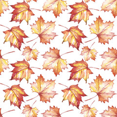 Fall leaves seamless pattern