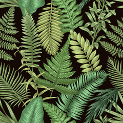 Fern pattern. Seamless print of wild forest plants, hand drawn herbal decorative elements. Vector botanical texture and rural wallpaper