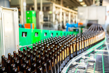 Fototapeta premium Brewery factory spilling beer into glass bottles on conveyor lines. Industrial work, automated production of food and drinks. Glass products. Bottles for drinks. Technological work at the factory.