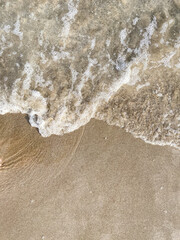 Seashore landscape. Summer holiday destination in Italy. Sandy beach in sunlight.