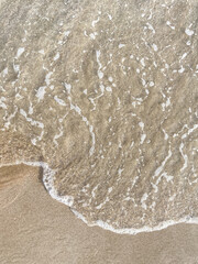 Seashore landscape. Summer holiday destination in Italy. Sandy beach in sunlight.