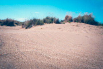Seashore landscape. Summer holiday destination in Italy. Sandy beach in sunlight.