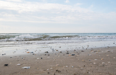 Seashore landscape. Summer holiday destination in Italy. Sandy beach in sunlight.